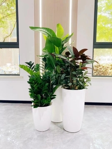 宁波奉化花卉租摆设计